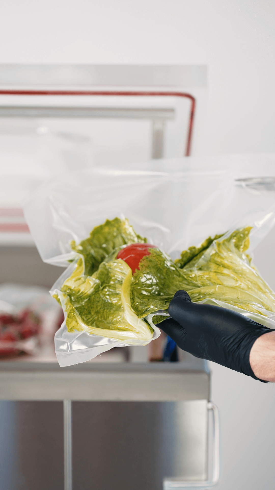 Envasadora Vacio EH19 - Image 4