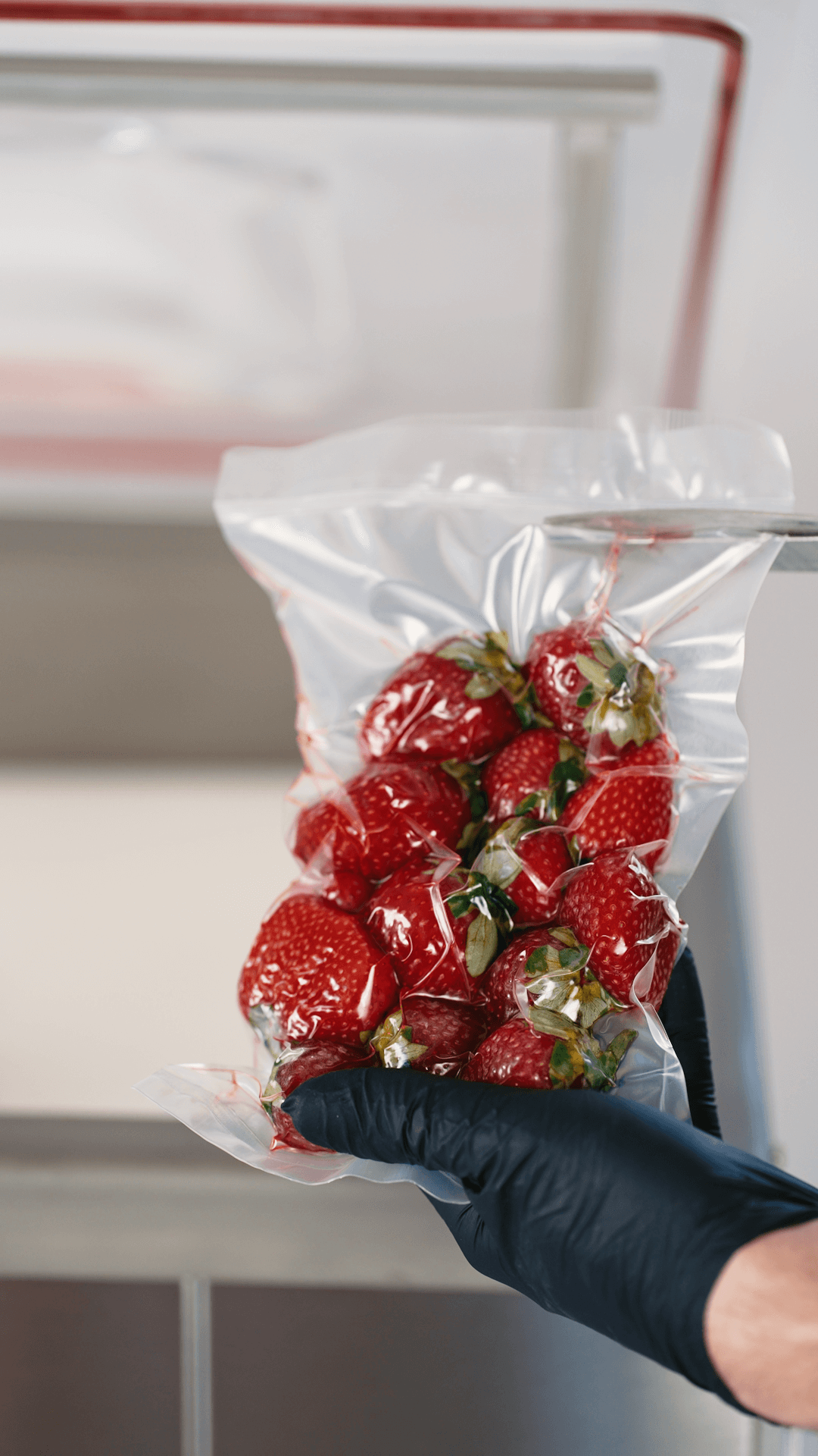 Envasadora Vacio EH19 - Image 5